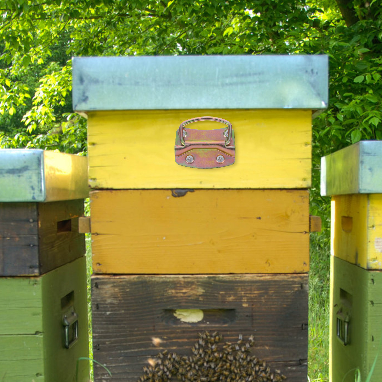 4Pcs Beekeeping Hive Lifting H - مراجعة Heavy Equipment Transporter وسعره